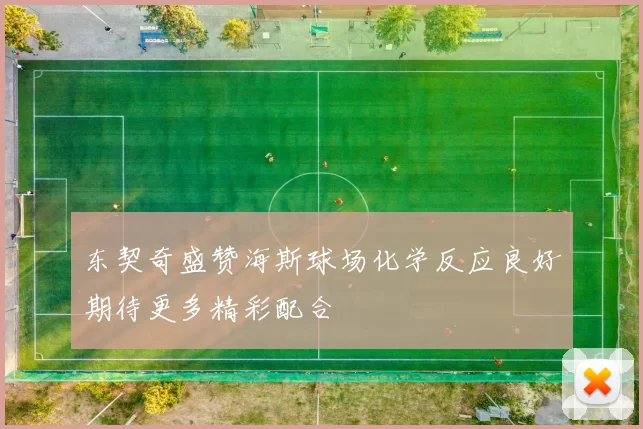 东契奇盛赞海斯球场化学反应良好期待更多精彩配合